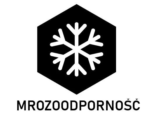 Mrozoodporność płytek tarasowych
